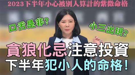 貪狼化忌2023|貪狼化忌